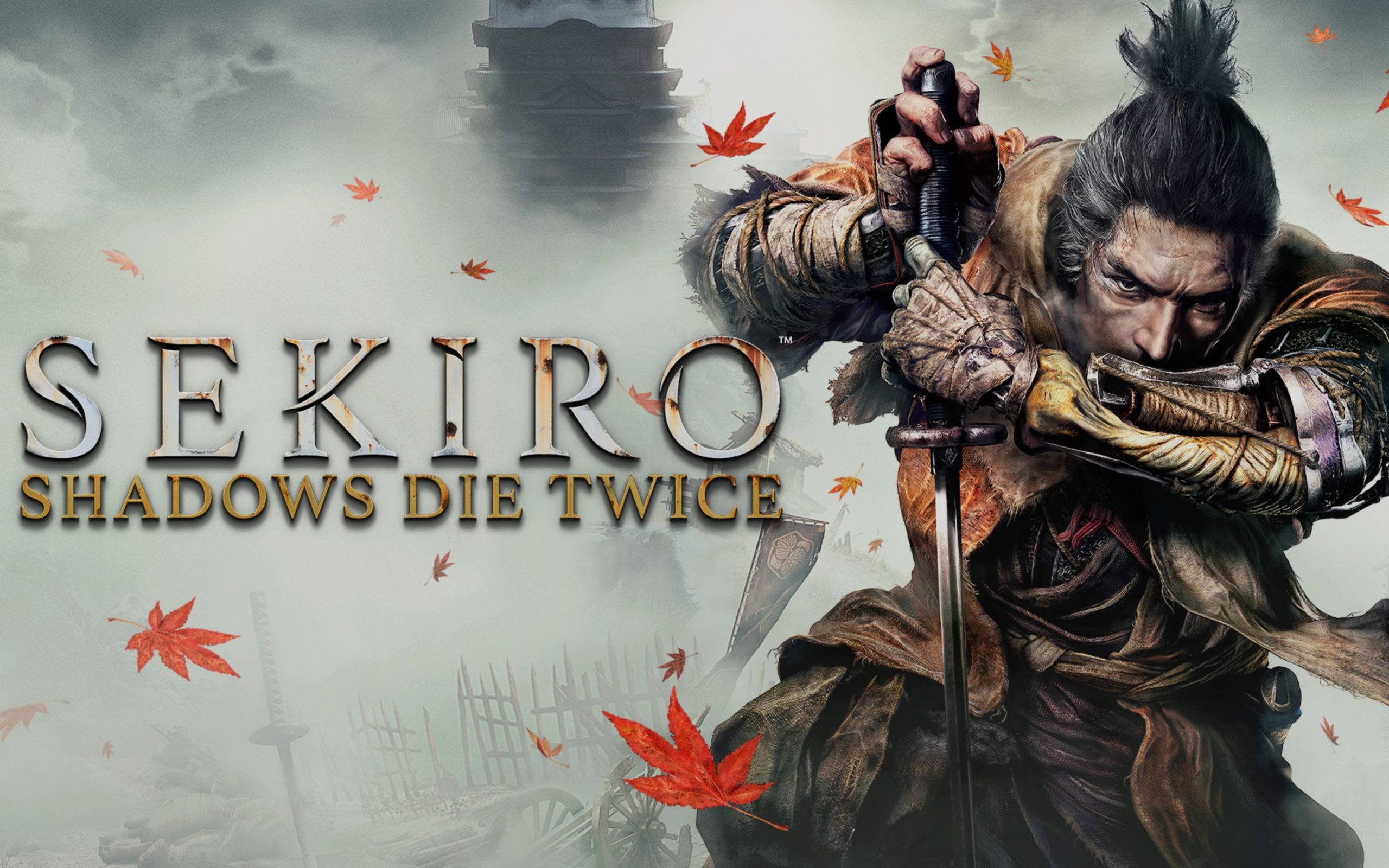 《Sekiro: Shadows Die Twice》（中文名：《只狼: 影逝二度》）-Ninan ACG