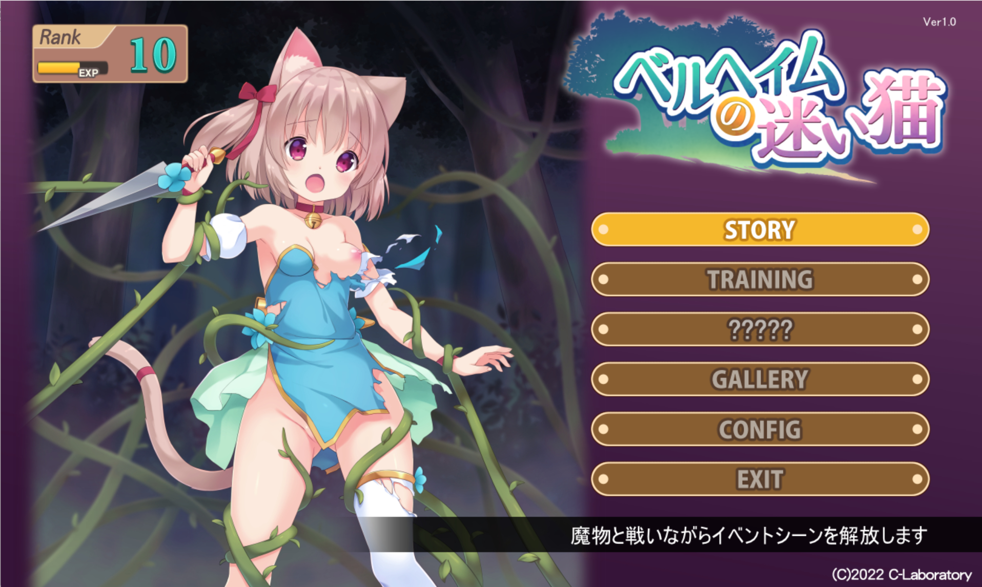 【PC-ACT】贝尔海姆的迷途猫v1.0-Ninan ACG